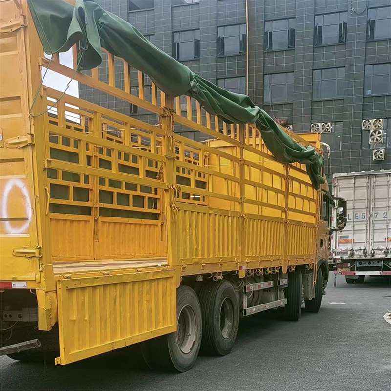 大新县灵璧县物流运输：多元服务与高效线路探秘