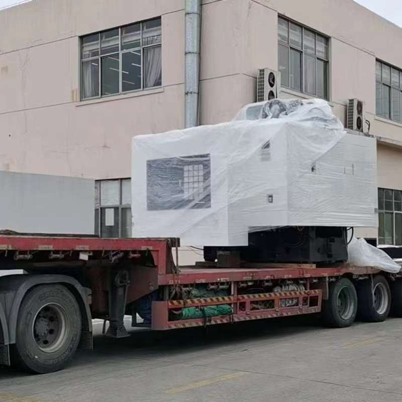 大新县普陀区物流枢纽：多元货运服务探索